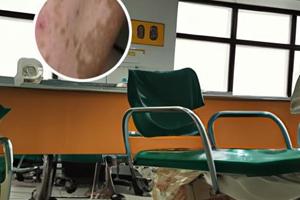 伍德灯便宜的和贵的区别