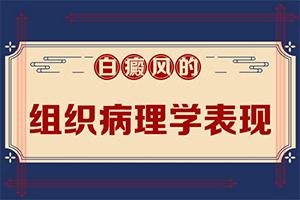 白癫风很难好吗(老年性白斑能吃橙子么)