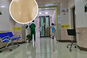 黔东南白斑怎么样啊
