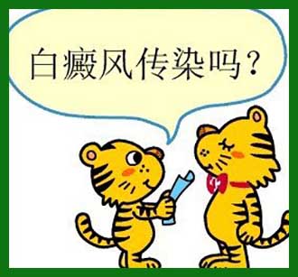 白殿病会传染给爱人吗?吗危害是什么