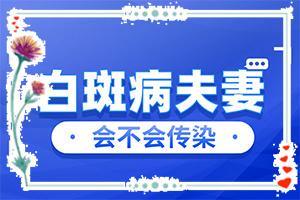 遗传白点癫风可以治好吗百度知道