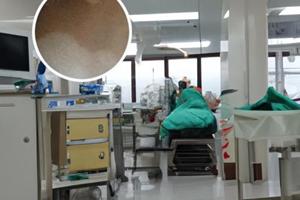 吡美莫司软膏主要治疗什么病
