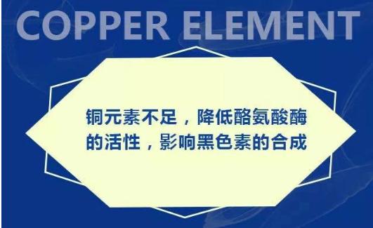 酪氨酸、铜离子相对缺乏学说