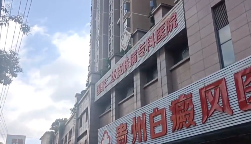 医师团队